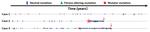 Mutations Beget More Mutations—Rapid Evolution of Mutation Rate in Response to the Risk of Runaway Accumulation