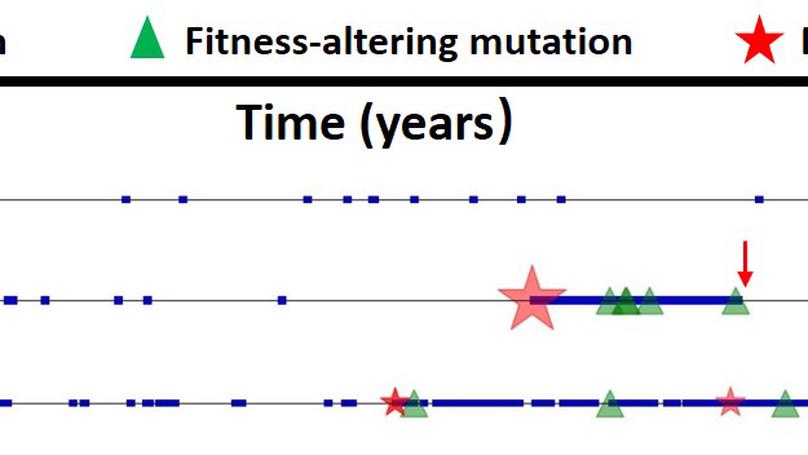 Mutations Beget More Mutations—Rapid Evolution of Mutation Rate in Response to the Risk of Runaway Accumulation