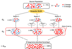 On the founder effect in COVID-19 outbreaks: how many infected travelers may have started them all?