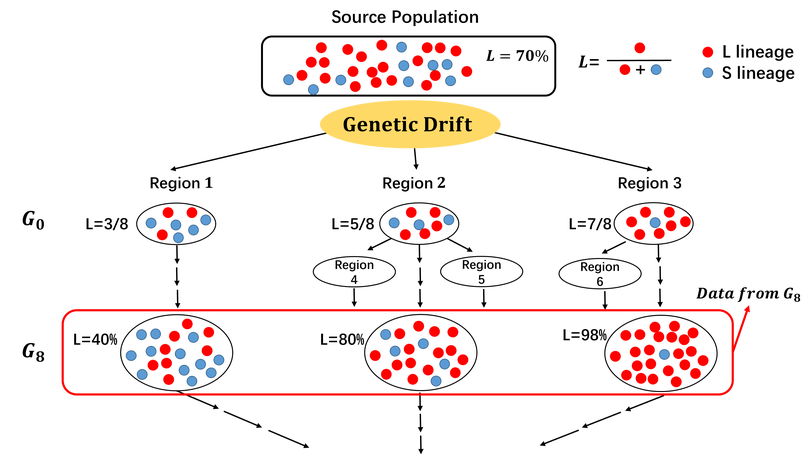 On the founder effect in COVID-19 outbreaks: how many infected travelers may have started them all?